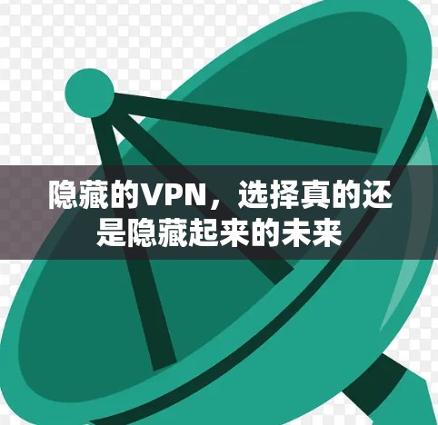 隐藏的VPN，选择真的还是隐藏起来的未来