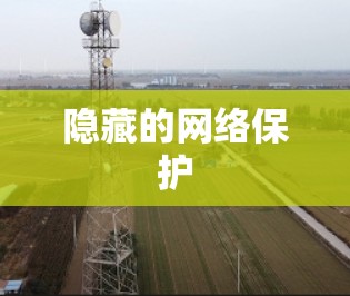隐藏的网络保护 隐藏的网络保护