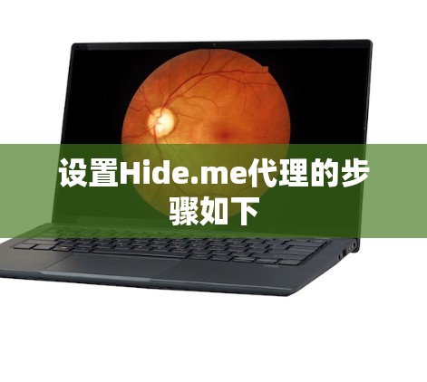 设置Hide.me代理的步骤如下