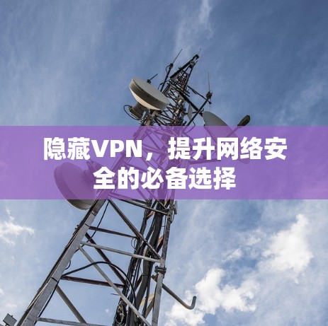 隐藏VPN,提升网络安全的必备选择