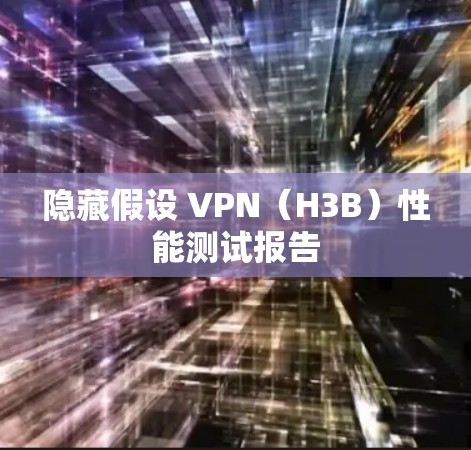 隐藏假设 VPN(H3B)性能测试报告