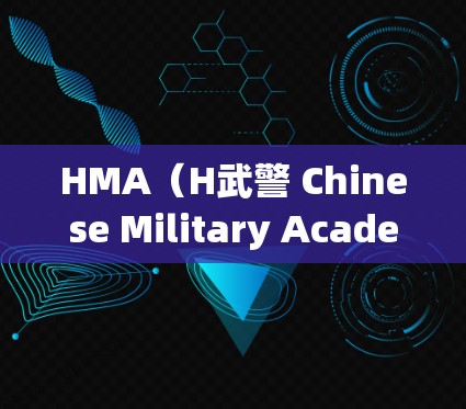 HMA（H武警 Chinese Military Academy）的VPN节点测速数据可以提供用户与这些节点建立VPN连接的信息。以下是关于HMA VPN节点的详细分析