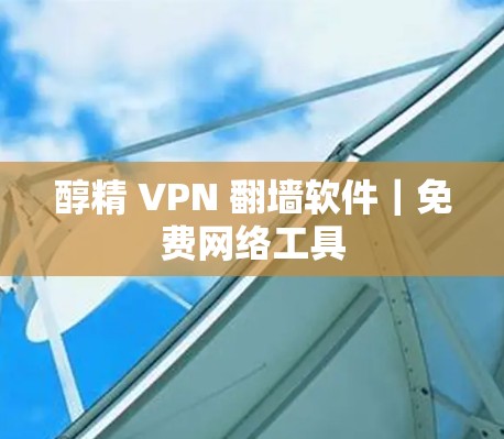 醇精 VPN <strong>翻墙软件</strong>｜免费网络工具