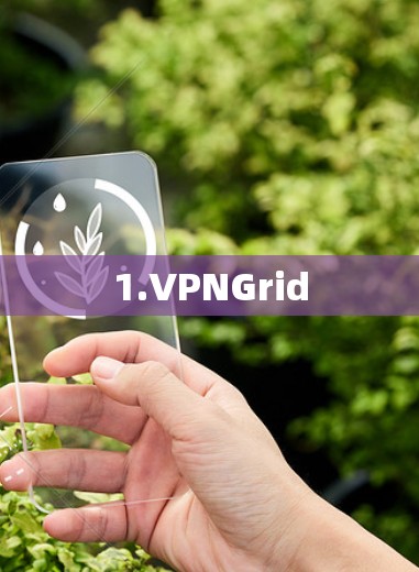 1.VPNGrid