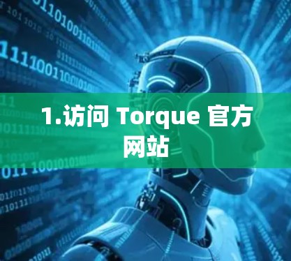 1.访问 Torque 官方网站