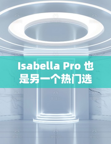 Isabella Pro 也是另一个热门选择，它功能强大，支持多种协议和安全措施，适合个人用户和企业用户。它的界面简洁，操作简便，适合那些需要端点扫描、VPN配置和防火墙保护的用户