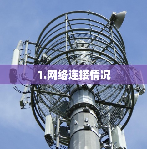 1.网络连接情况