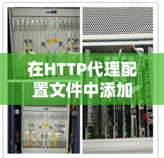 在HTTP代理配置文件中添加配置