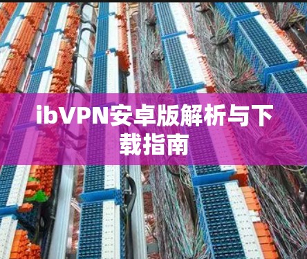 ibVPN安卓版解析与下载指南