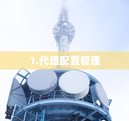 1.代理配置管理