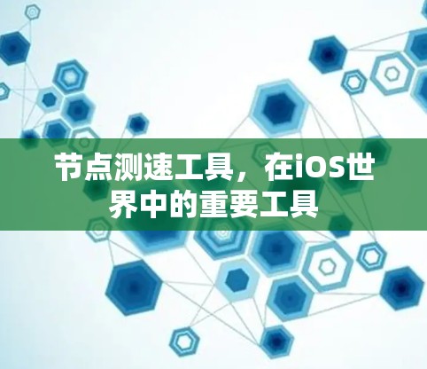 节点测速工具，在iOS世界中的重要工具