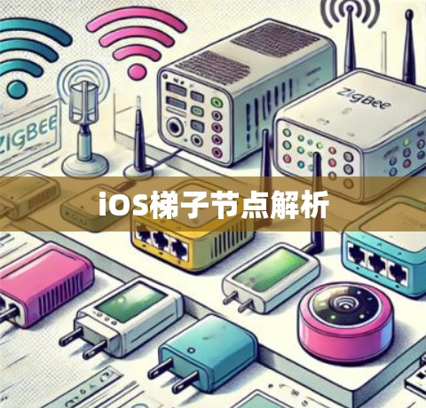 iOS<strong>梯子</strong>节点解析