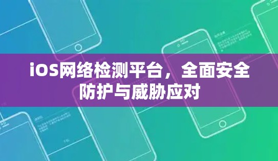 iOS网络检测平台，全面安全防护与威胁应对