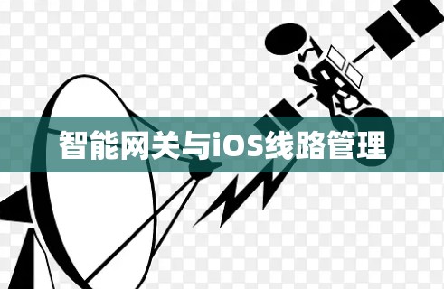 智能网关与iOS线路管理